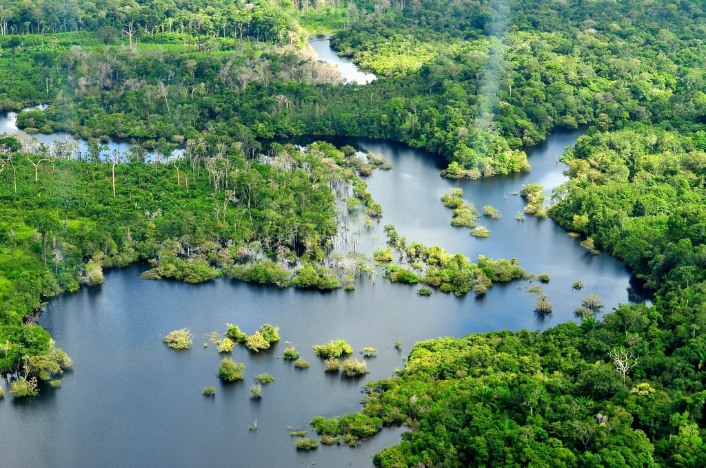 Amazing Facts of Amazon Forest