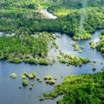 Amazing Facts of Amazon Forest