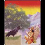 गरुड़ मोह: गरुड़ और काकभुसुंडी सवांद