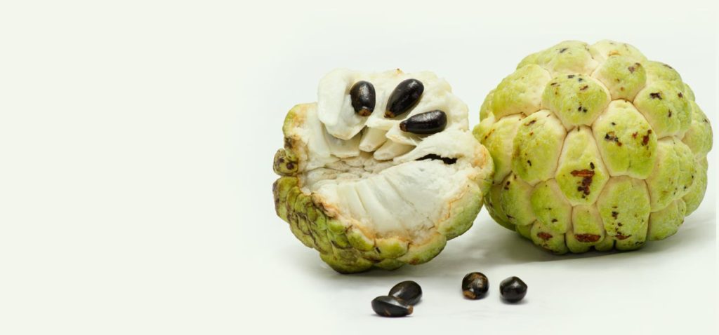 All You Need To Know About Custard Apple Swikritis Blog