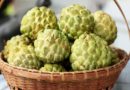 All You Need To Know About Custard Apple