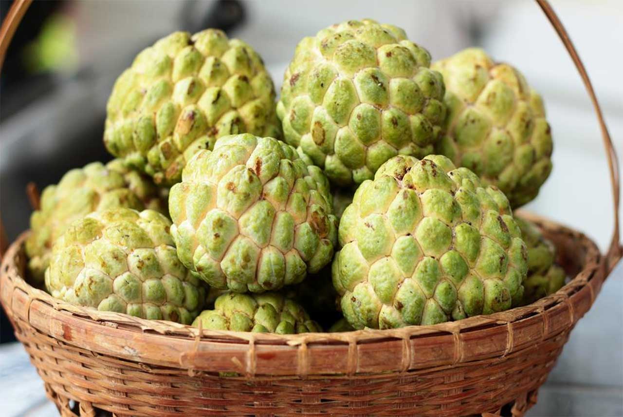 types of custard apple fruit