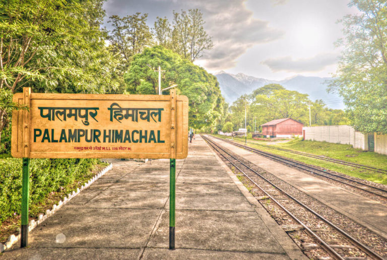 Get Lost To Palampur