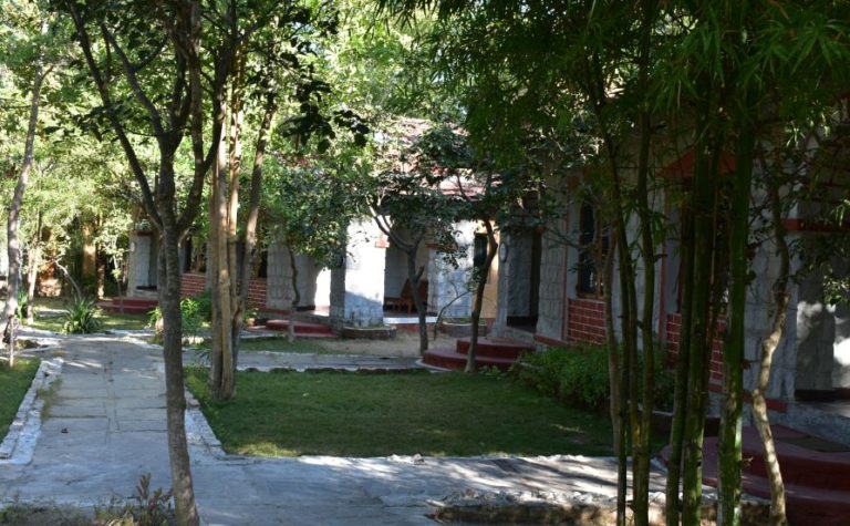 LIVE LIKE A KING IN JUNGLE KING RESORT