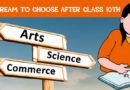 Courses to choose after Class 10th