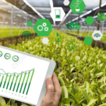 How AI technology can improve Agriculture Ecosystem