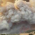 Victorian Bushfire Donation-How to donate If you are living outside Australia
