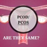 PCOD Polycystic Ovary Disease and PCOS Polycystic Ovary symptoms