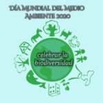 Día Mundial del Medio Ambiente 5 de junio de 2022 – Tema y país anfitrión