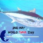 World Tuna Day 2nd May 2023 Theme