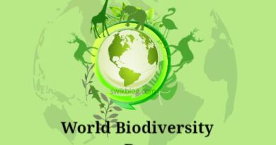 International Day For Biological Diversity, May 22, 2024 Theme