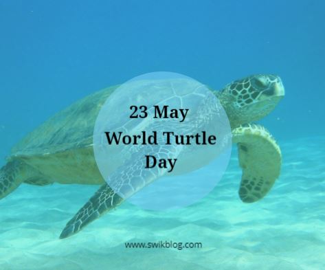 national turtle day 2023 Archives - Swikriti's Blog