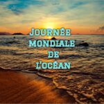 Journée mondiale de l’océan 2020 – Thème et activités