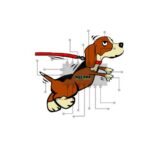Microchips for dogs – Process, Benefits and Risk
