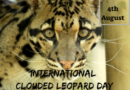 International Clouded Leopard Day 4th of August 2022