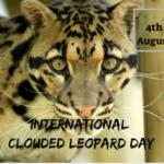 International Clouded Leopard Day 4th of August 2022