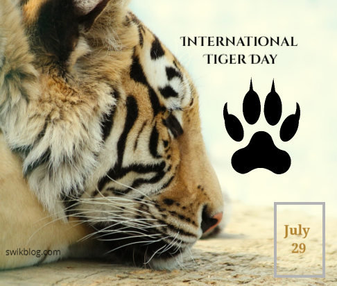 Tiger days. Тигр поет. Happy Tiger Day. Образ тигра в сказках. Day of the Tiger on July 29..