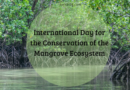 International Day for the Conservation of the Mangrove Ecosystem 26th of July 2022