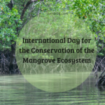 International Day for the Conservation of the Mangrove Ecosystem 26th of July 2022