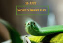 World Snake Day 16th July 2022- 10 Mind-blowing Facts
