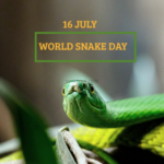 World Snake Day 2024: Celebrate Snakes and Their Conservation