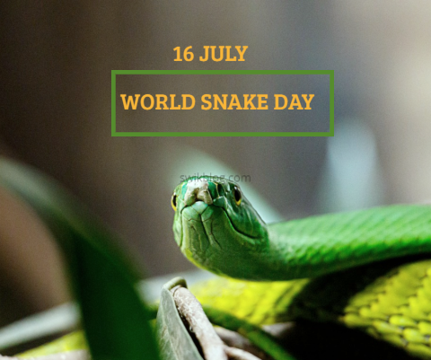 National Snake Day 2024 - Image to u