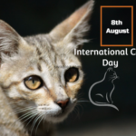 International Cat Day 2024