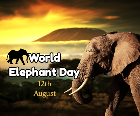 World Elephant Day (August 12th)