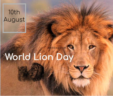 World Lion Day 10th August 2020 - Swikriti's Blog