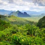 Día Mundial del Medio Ambiente 2021 – Tema y país anfitrión