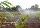 Major Advantages of Installing an Irrigation System