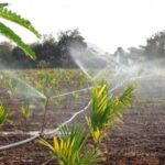 Thème et pays hôte de la Journée mondiale de l’environnement 2021