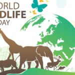 World Wildlife Day 2024