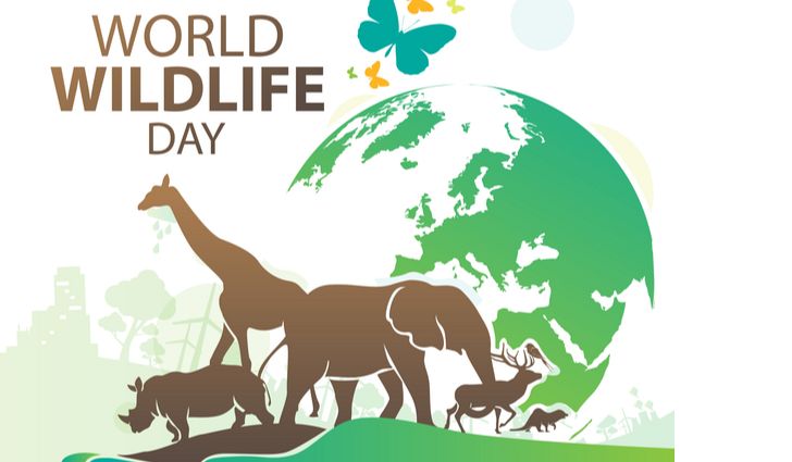 partnerships-for-wildlife-conservation-is-the-theme-of-world-wildlife