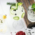 EXOTIC GIN RECIPES