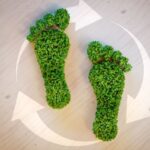 How to Make Your Home Energy Efficient