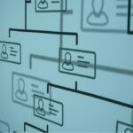Organizational Structures for Businesses