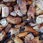 How to Cook Mouth Watering Stone Crab Claws