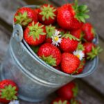 The Best Fruits to Grow Indoors