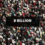 World Population hits 8 billion on 15th November 2022