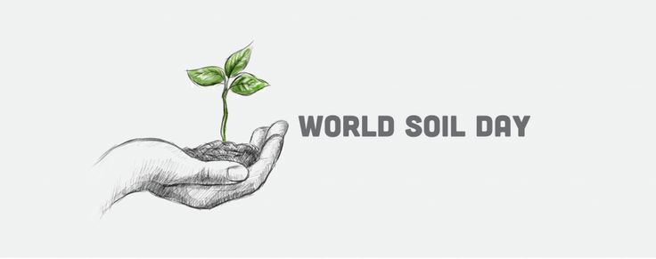 Hand give young green plant and soil to earth. World environment day  concept. Illustration and han draw style isolated on white background.  Stock Vector | Adobe Stock