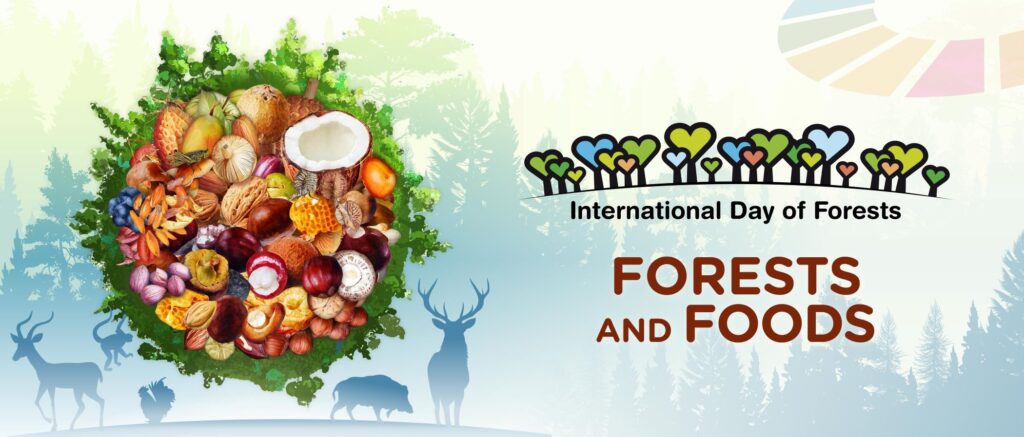 International Day of Forest 2025 Theme, Events, and Key Messages