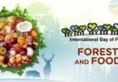 International Day of Forest 2025 Theme, Events, and Key Messages