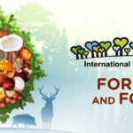 International Day of Forest 2025 Theme, Events, and Key Messages