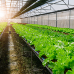 Ingenious Ways You Can Do with Agriculture: Unlocking the Potential of Sustainable Agriculture