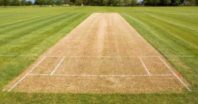 <strong>Decoding the Cricket Pitch: Construction, Characteristics, and Analysis</strong>