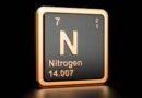 <strong>Nitrogen: The Key to a Sustainable Future</strong>