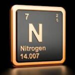 <strong>Nitrogen: The Key to a Sustainable Future</strong>