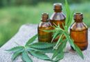 <strong>CBD Business Opportunities: How Can You Get Started?</strong>