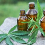 <strong>CBD Business Opportunities: How Can You Get Started?</strong>